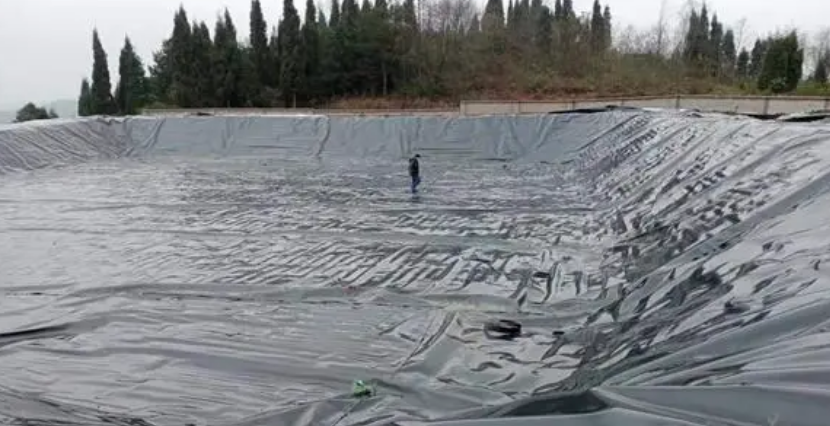 Advantages of laying fish ponds with HDPE geomembrane