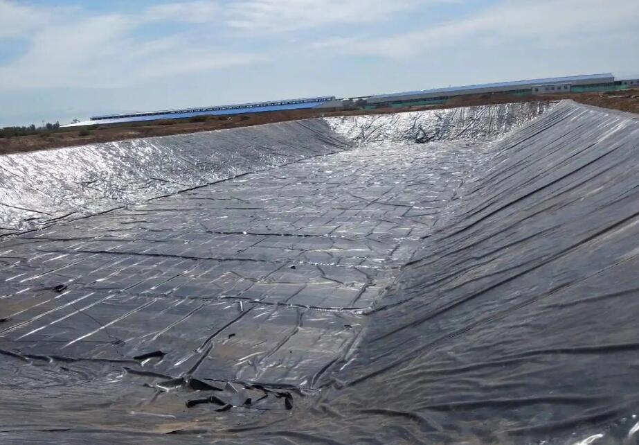 HDPE Geomembrane