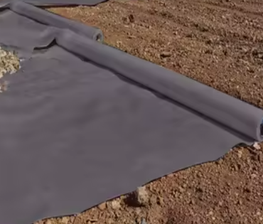 Where do you put geotextile?